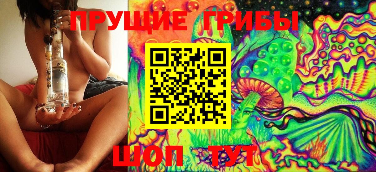 Знаменск  как найти закладки  Вход с VPN  Псилоцибиновые грибы Psilocybine cubensis  Галлюциногенные грибы Cubensis 
