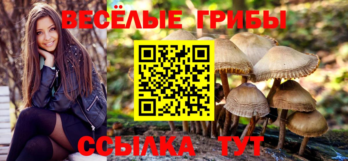 Галлюциногенные грибы MAGIC MUSHROOMS Знаменск
